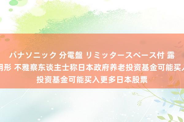 パナソニック 分電盤 リミッタースペース付 露出・半埋込両用形 不雅察东谈主士称日本政府养老投资基金可能买入更多日本股票