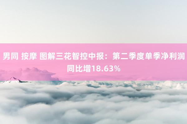 男同 按摩 图解三花智控中报：第二季度单季净利润同比增18.63%