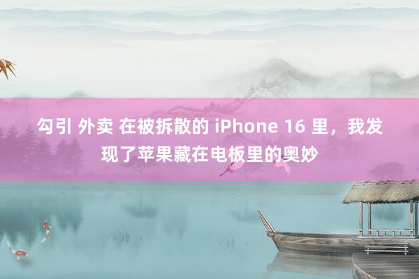 勾引 外卖 在被拆散的 iPhone 16 里，我发现了苹果藏在电板里的奥妙