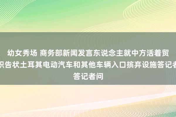 幼女秀场 商务部新闻发言东说念主就中方活着贸组织告状土耳其电动汽车和其他车辆入口摈弃设施答记者问