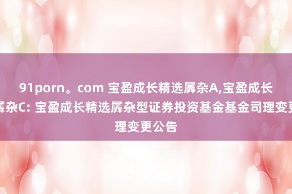 91porn。com 宝盈成长精选羼杂A，宝盈成长精选羼杂C: 宝盈成长精选羼杂型证券投资基金基金司理变更公告