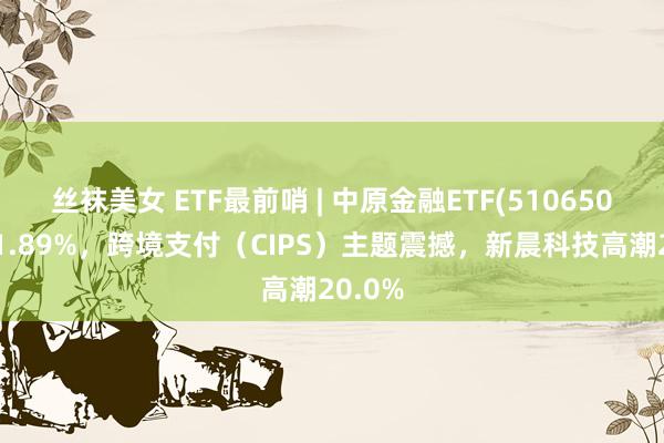 丝袜美女 ETF最前哨 | 中原金融ETF(510650)高潮1.89%，跨境支付（CIPS）主题震撼，新晨科技高潮20.0%