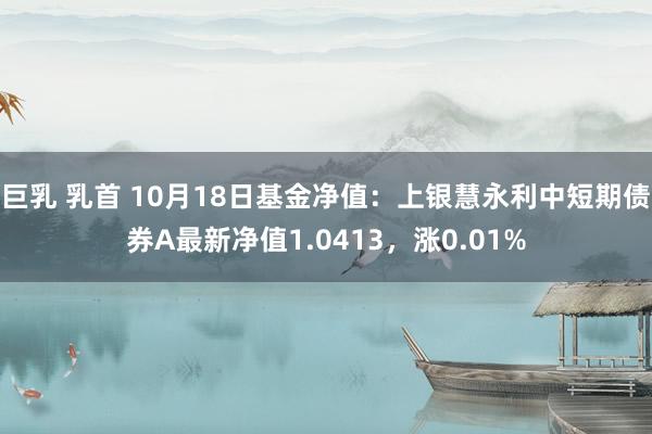 巨乳 乳首 10月18日基金净值：上银慧永利中短期债券A最新净值1.0413，涨0.01%