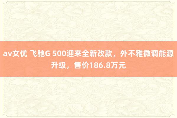 av女优 飞驰G 500迎来全新改款，外不雅微调能源升级，售价186.8万元