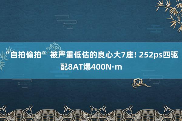 “自拍偷拍” 被严重低估的良心大7座! 252ps四驱配8AT爆400N·m