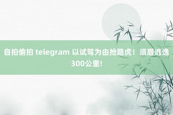 自拍偷拍 telegram 以试驾为由抢路虎！须眉逃逸300公里!