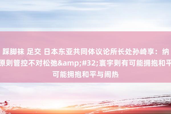 踩脚袜 足交 日本东亚共同体议论所长处孙崎享：纳降和平原则管控不对松弛&#32;寰宇则有可能拥抱和平与闹热