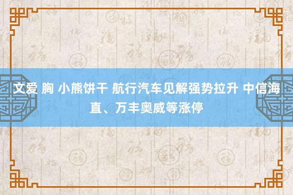 文爱 胸 小熊饼干 航行汽车见解强势拉升 中信海直、万丰奥威等涨停