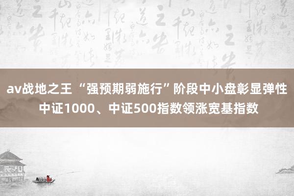 av战地之王 “强预期弱施行”阶段中小盘彰显弹性 中证1000、中证500指数领涨宽基指数