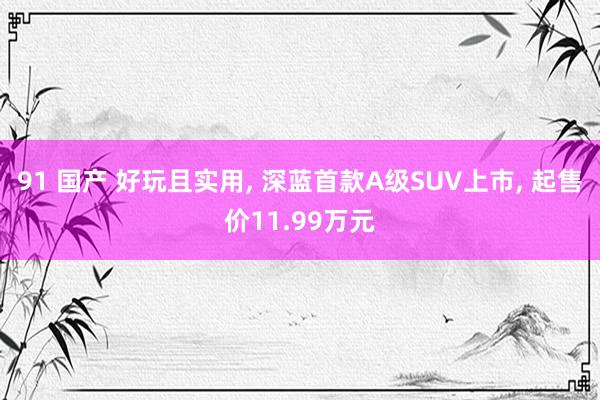 91 国产 好玩且实用， 深蓝首款A级SUV上市， 起售价11.99万元