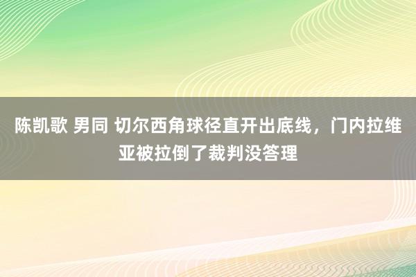 陈凯歌 男同 切尔西角球径直开出底线，门内拉维亚被拉倒了裁判没答理