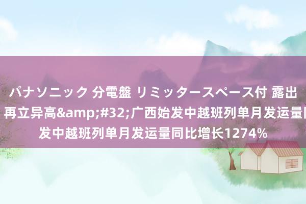 パナソニック 分電盤 リミッタースペース付 露出・半埋込両用形 再立异高&#32;广西始发中越班列单月发运量同比增长1274%