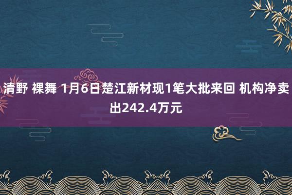 清野 裸舞 1月6日楚江新材现1笔大批来回 机构净卖出242.4万元