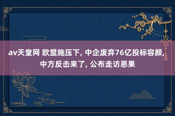 av天堂网 欧盟施压下， 中企废弃76亿投标容颜， 中方反击来了， 公布走访恶果