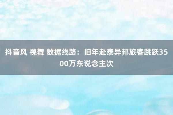 抖音风 裸舞 数据线路：旧年赴泰异邦旅客跳跃3500万东说念主次