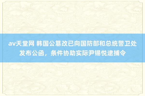 av天堂网 韩国公篡改已向国防部和总统警卫处发布公函，条件协助实际尹锡悦逮捕令