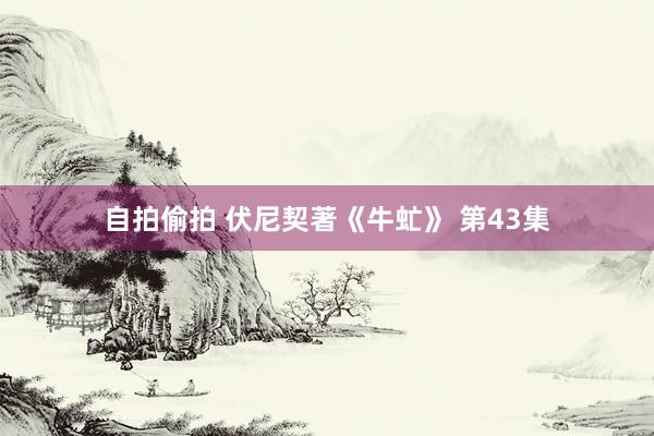 自拍偷拍 伏尼契著《牛虻》 第43集